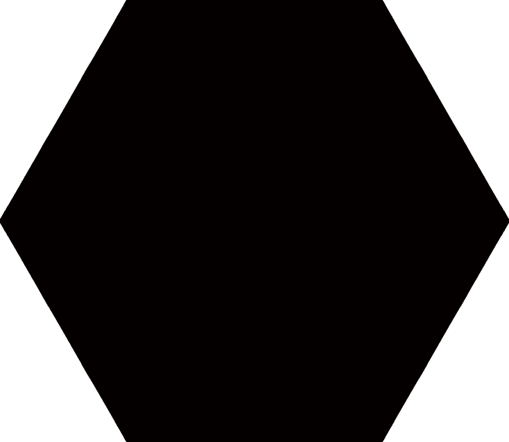 Negro HEX WEB